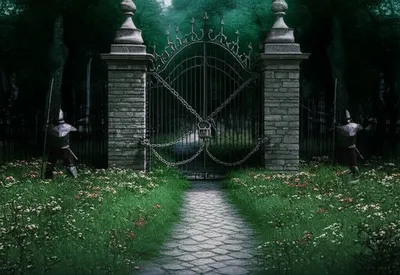 Illustration backdoor - Image 1