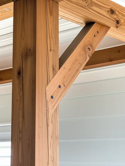 Illustration spurs - Image 1