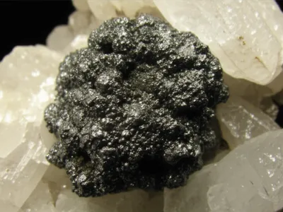 Illustration squat - Image 1