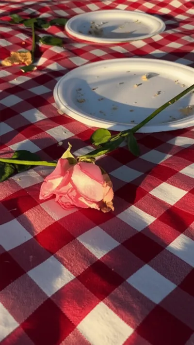 Illustration leftover - Image 2