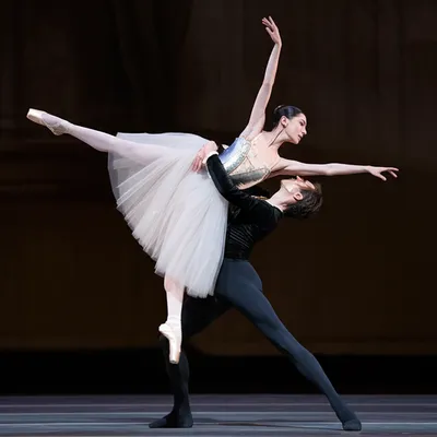 Illustration adagio - Image 1