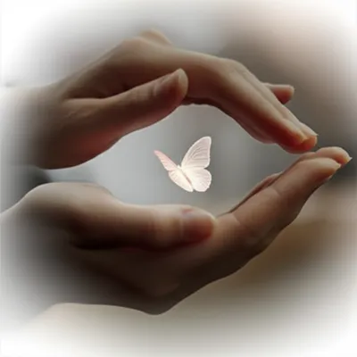 Illustration between - Image 1