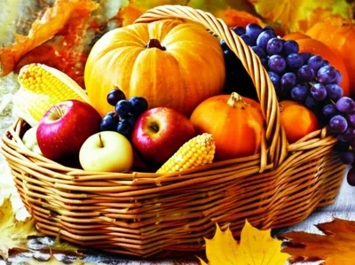 Illustration dost - Image 1