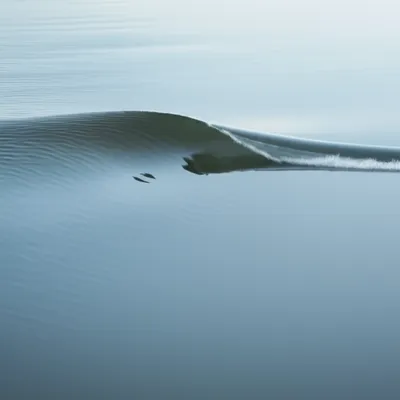 Illustration smoother - Image 2