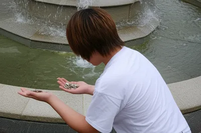 Illustration skippers - Image 1