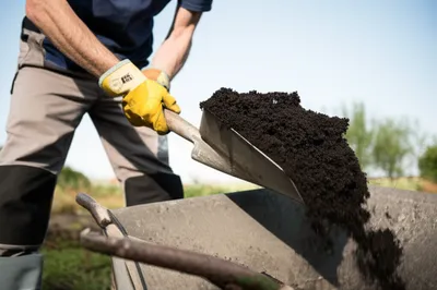 Hình ảnh minh họa shovelling