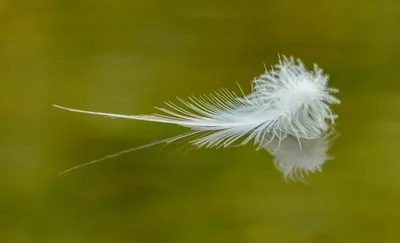 Illustration subtleties - Image 2