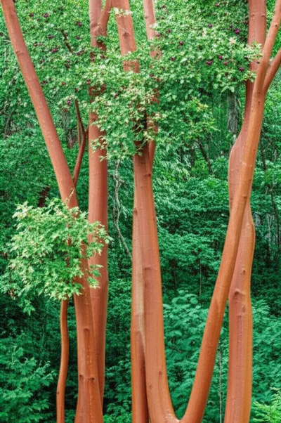 Illustration stopper - Image 1