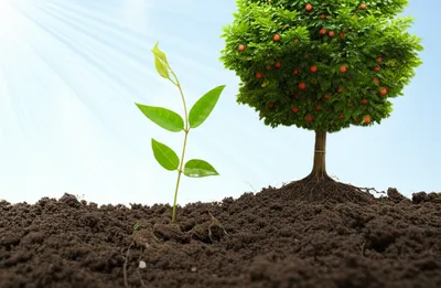 Illustration accruing - Image 1