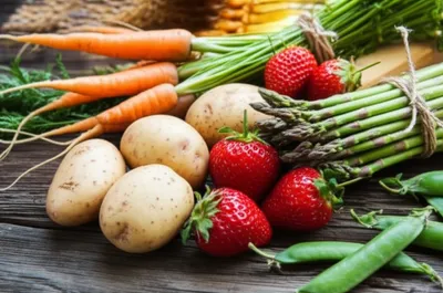 Illustration primeurs - Image 1