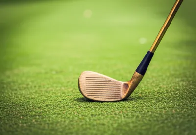 Illustration woods - Image 1