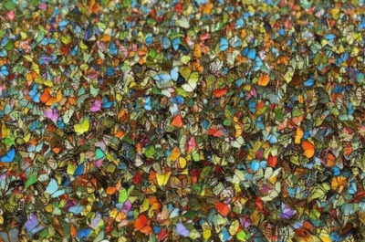 Illustration swarming - Image 1