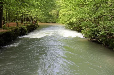 Illustration influents