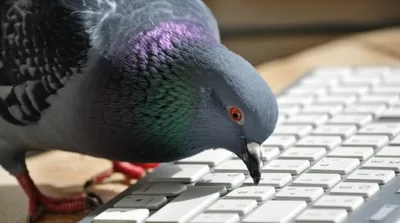 Illustration peck - Image 1