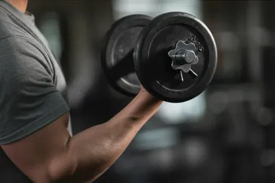 Illustration flexes - Image 1