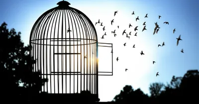 Illustration released - Image 1