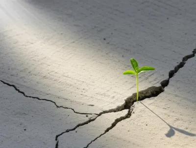 Illustration persisting - Image 1