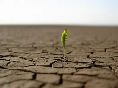 Illustration str - Image 1