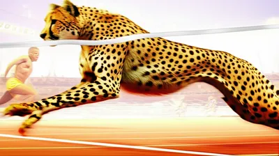 Illustration overrunning - Image 1