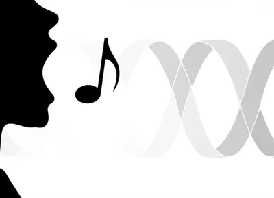 Illustration rondeaux - Image 1