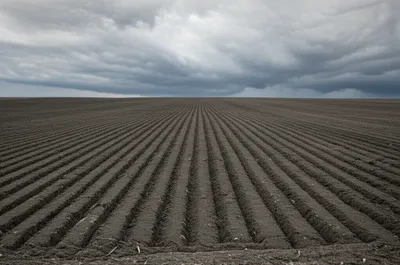 Illustration disk - Image 1