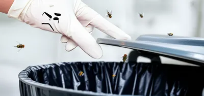 Illustration reeked - Image 1