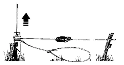 Illustration snare - Image 2