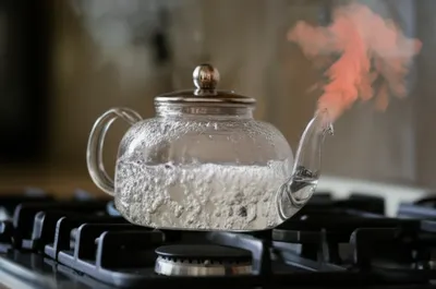 Illustration bile - Image 1