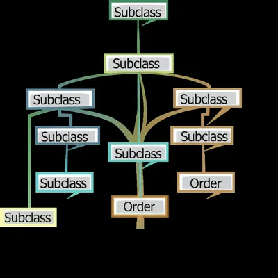 Illustration superorder