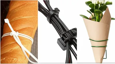 Illustration ties - Image 1