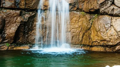 Illustration wall - Image 1