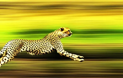 Illustration haste - Image 1