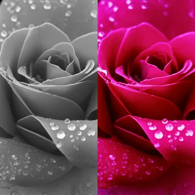 Illustration enhanced - Image 1