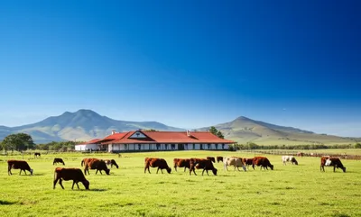 Illustration estancia