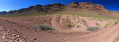 Illustration bajadas - Image 1