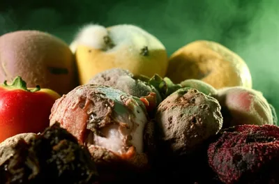 Illustration nasty - Image 1