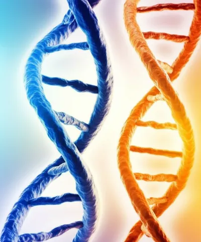 Illustration anneal - Image 1