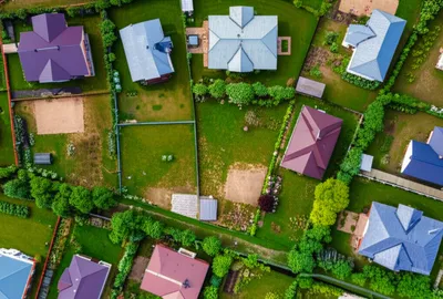 Illustration sections - Image 1