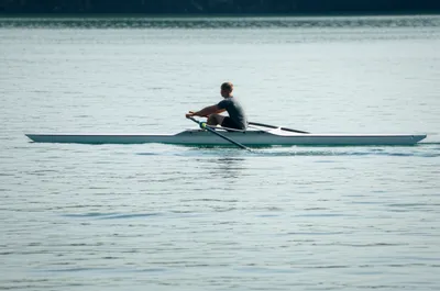 Illustration scull - Image 1