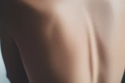 Illustration ribs - Image 1