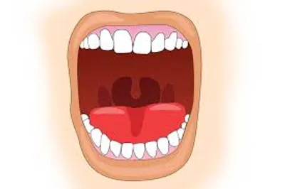 Illustration yap - Image 2