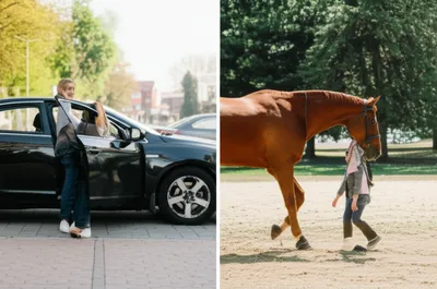 Illustration nearest - Image 1