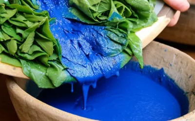 Illustration indican - Image 1