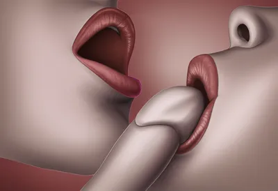 Illustration fellatio
