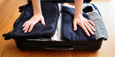 Illustration stow - Image 1