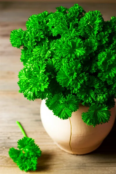 Illustration aches - Image 1