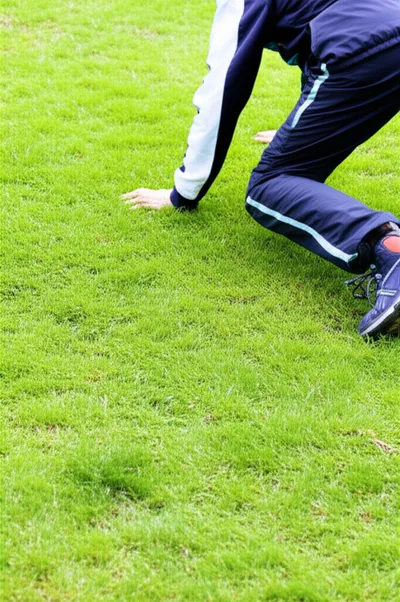 Illustration knees - Image 1