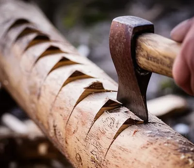 Illustration notches - Image 1