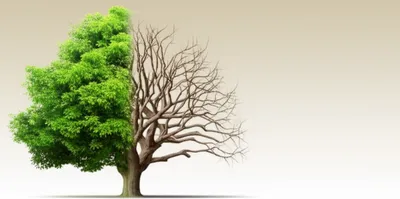 Illustration attenuating - Image 1