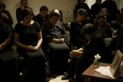 Illustration shive - Image 1